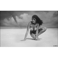 PROMISED LAND_56-aoYKxMo9rPSt9KEjyZFT1BEq9ag3qErB.jpg